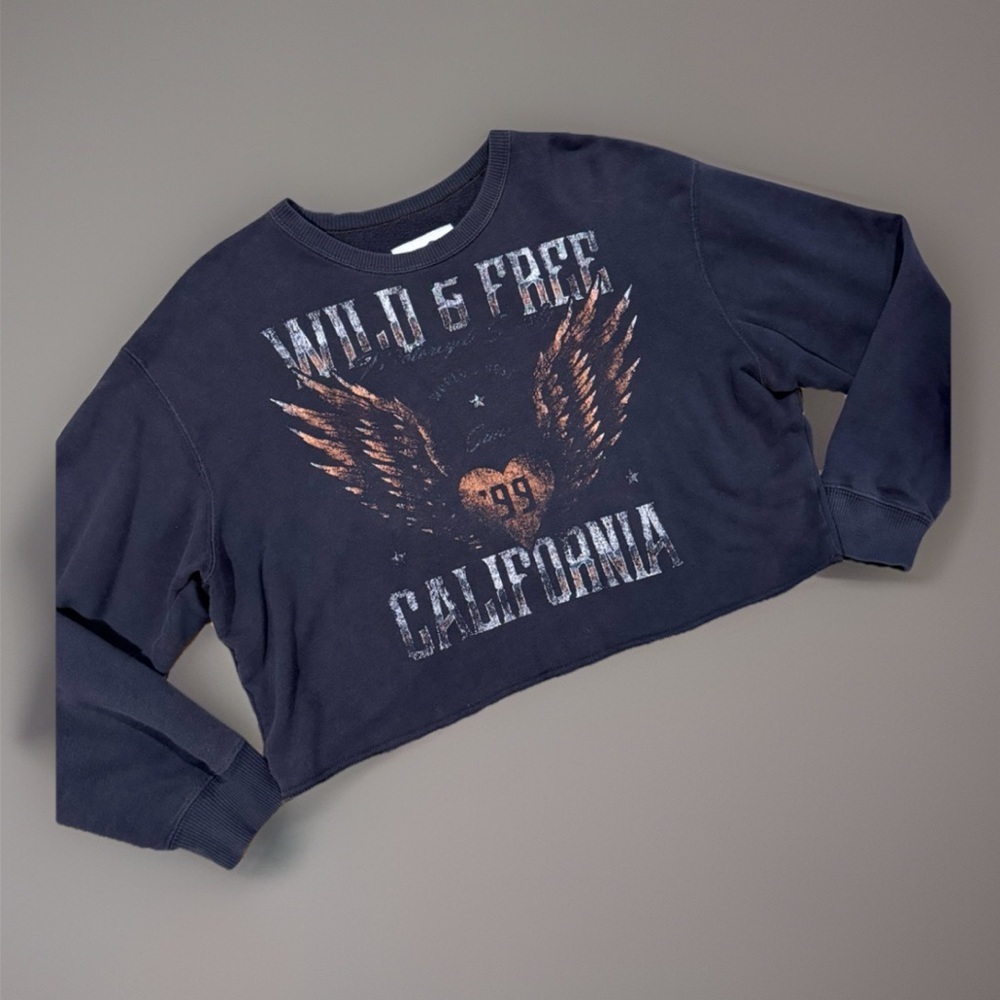 Hollister Cropped Top Winged Heart Graphic Large